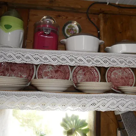Getty 칼라 엔 포캣